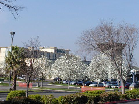 Hotel Wyndham